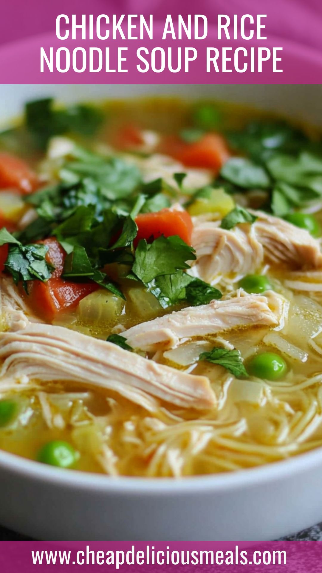 Chicken And Rice Noodle Soup Recipe