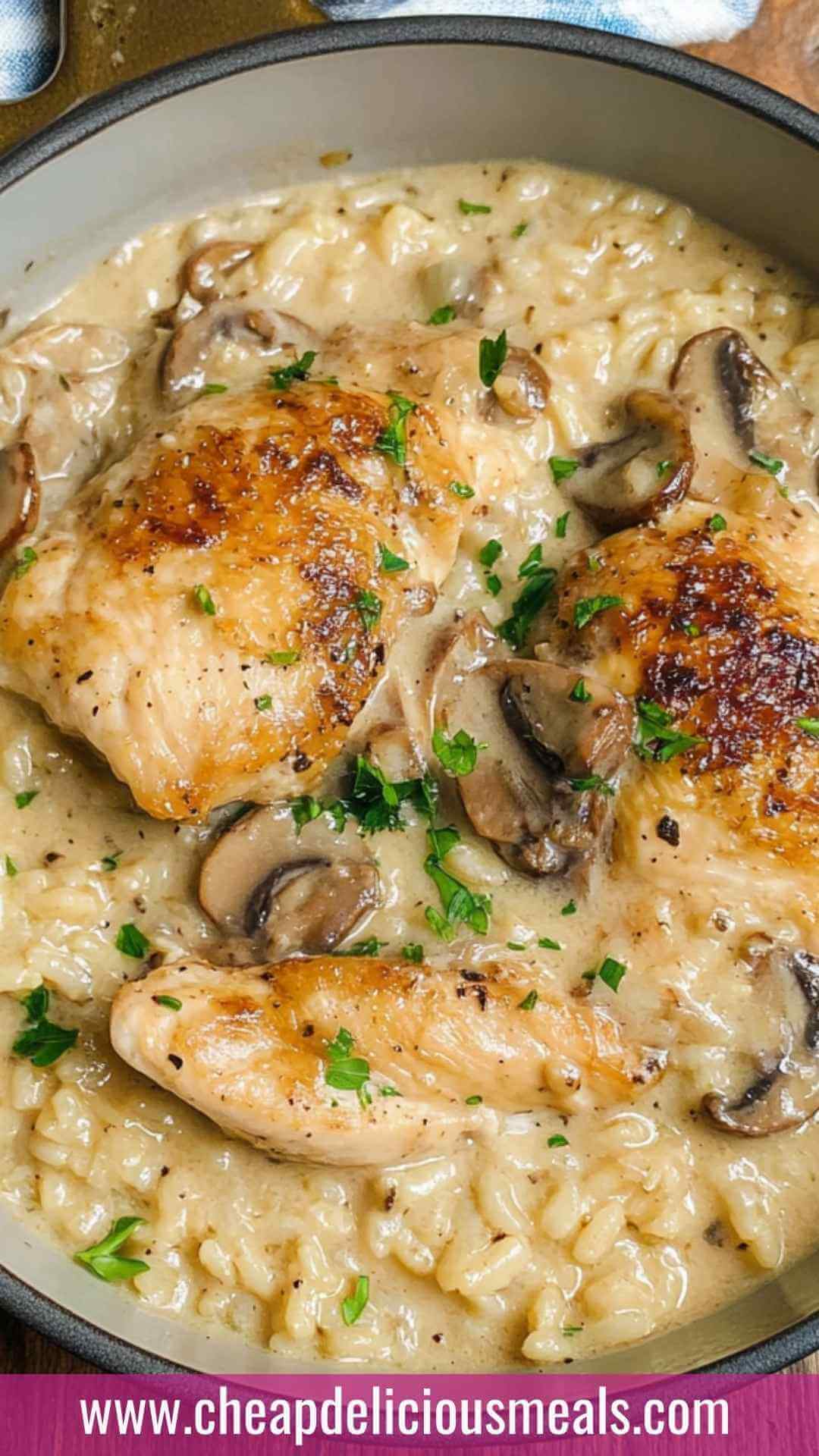 Best Cream of Mushroom Chicken and Rice Recipe
