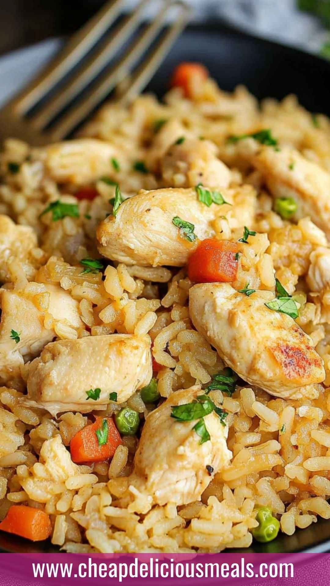 Best No Peek Chicken and Rice Recipe