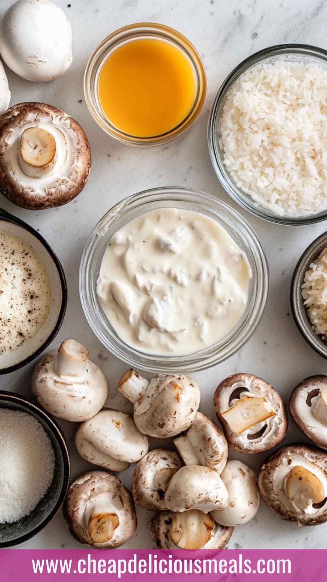 Cream of Mushroom Chicken and Rice Copycat Recipe