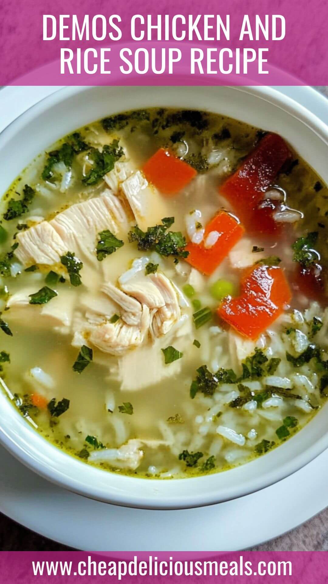 Demos Chicken And Rice Soup Recipe
