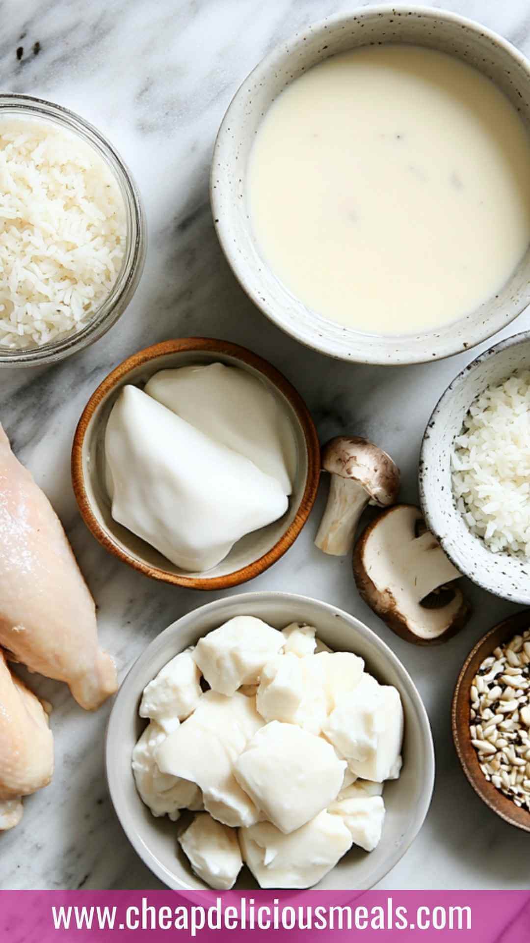 Lazy Man Chicken And Rice With Cream of Mushroom Copycat Soup