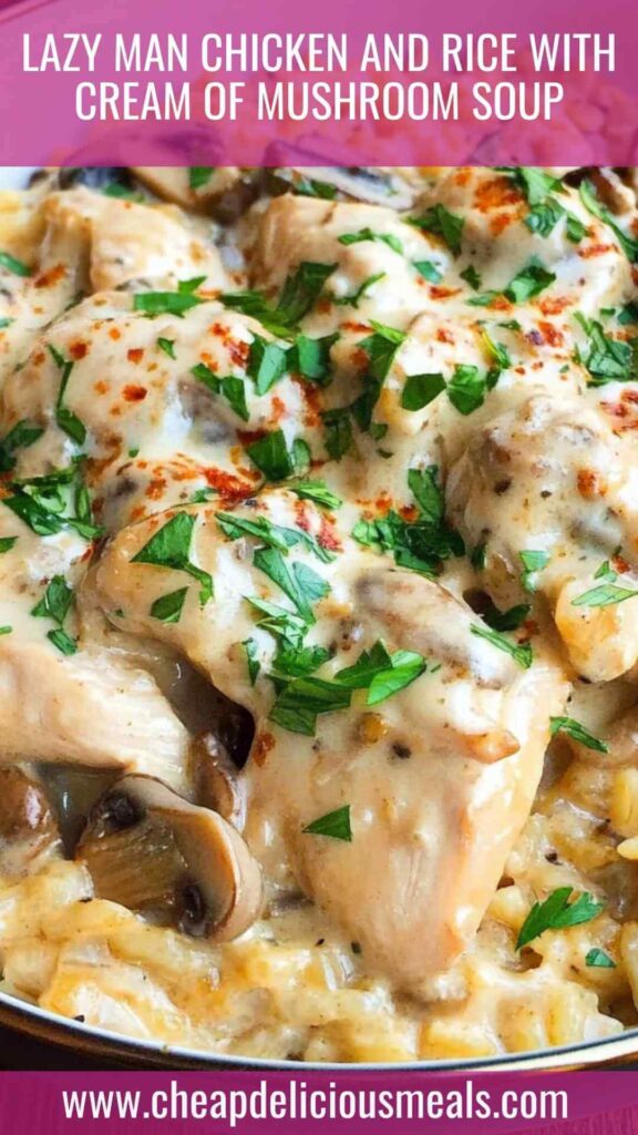 Lazy Man Chicken And Rice With Cream of Mushroom Soup