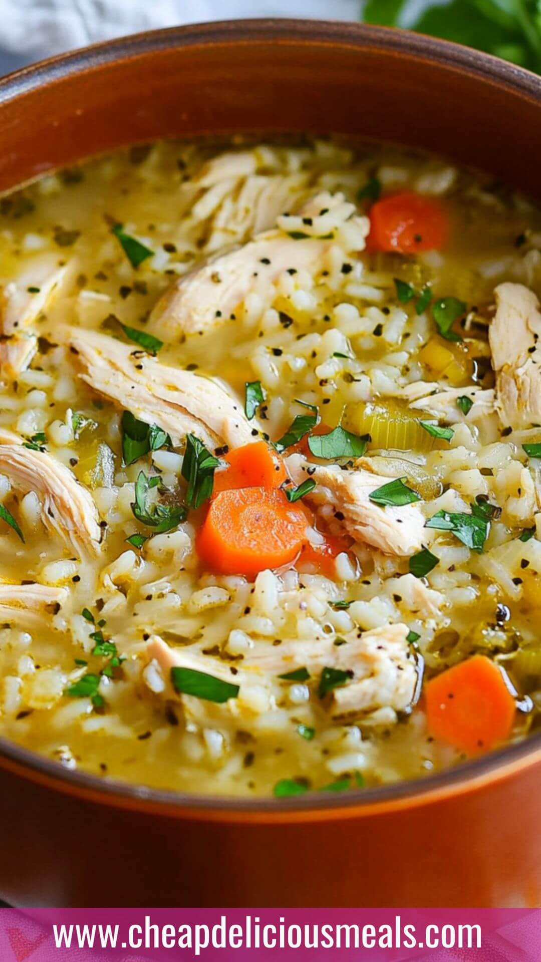 Best Chicken and Rice Soup Recipe