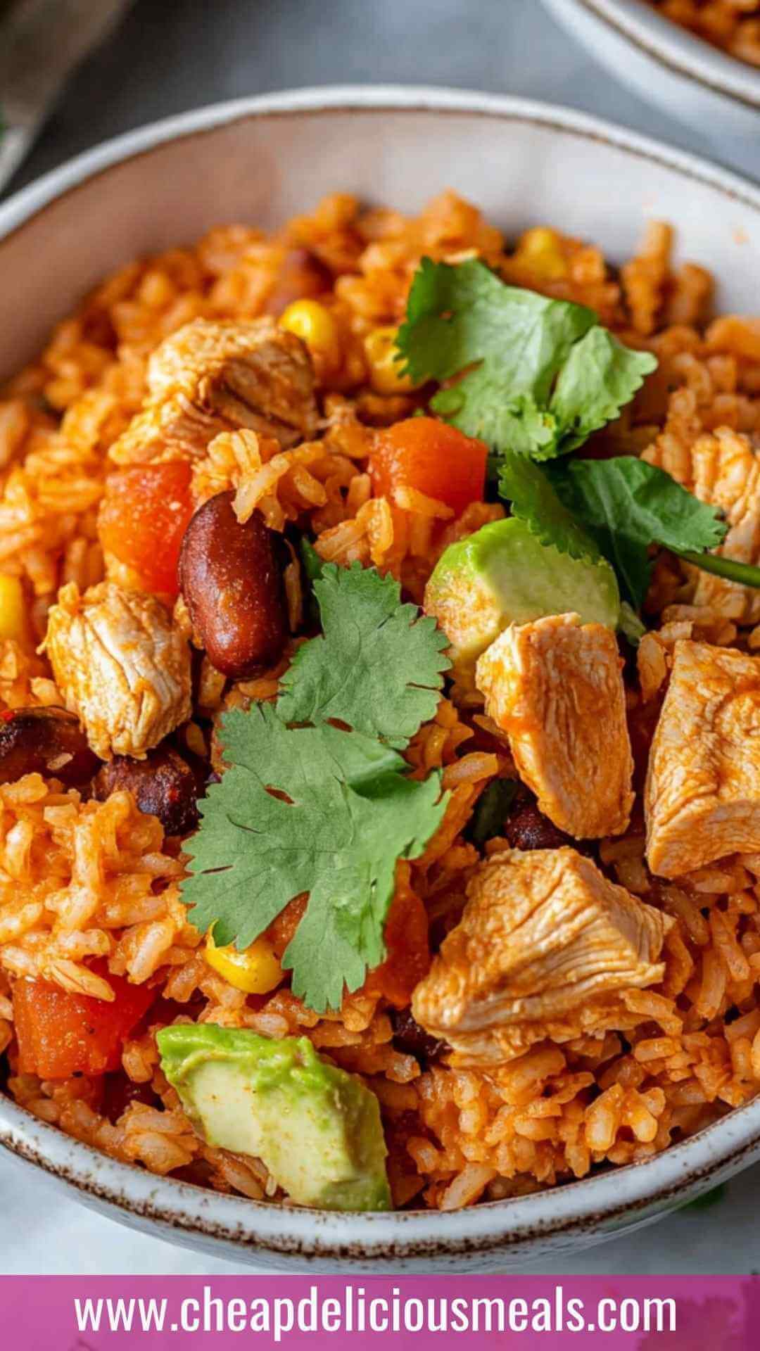 Best Mexican Chicken and Rice Recipe Best Mexican Chicken and Rice Recipe