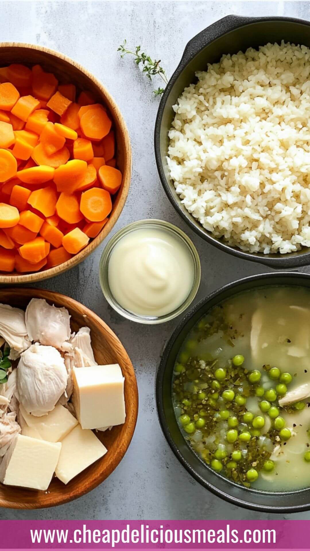 Chicken and Rice Soup Copycat Recipe