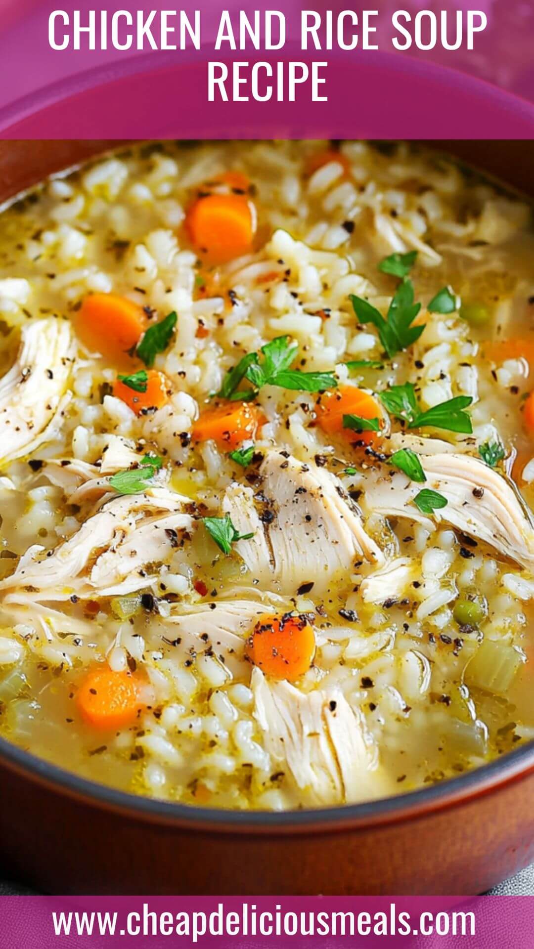 Chicken and Rice Soup Recipe