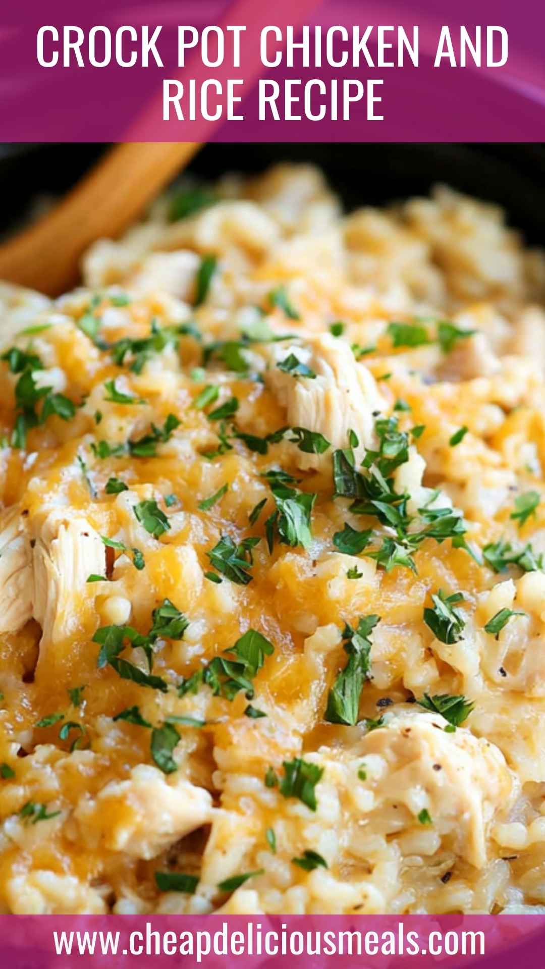 Crock Pot Chicken and Rice Recipe