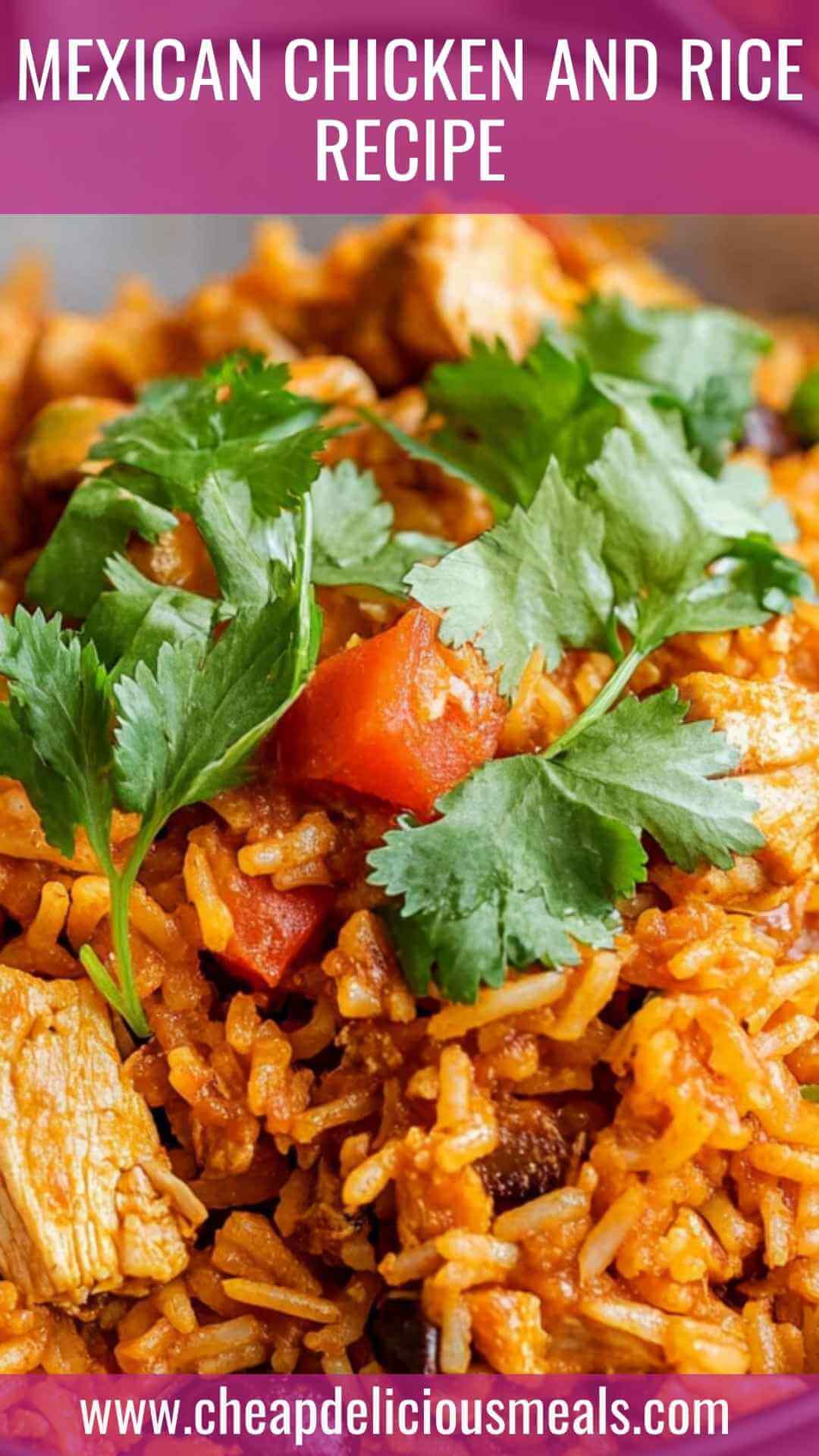 Mexican Chicken and Rice Recipe Mexican Chicken and Rice Recipe