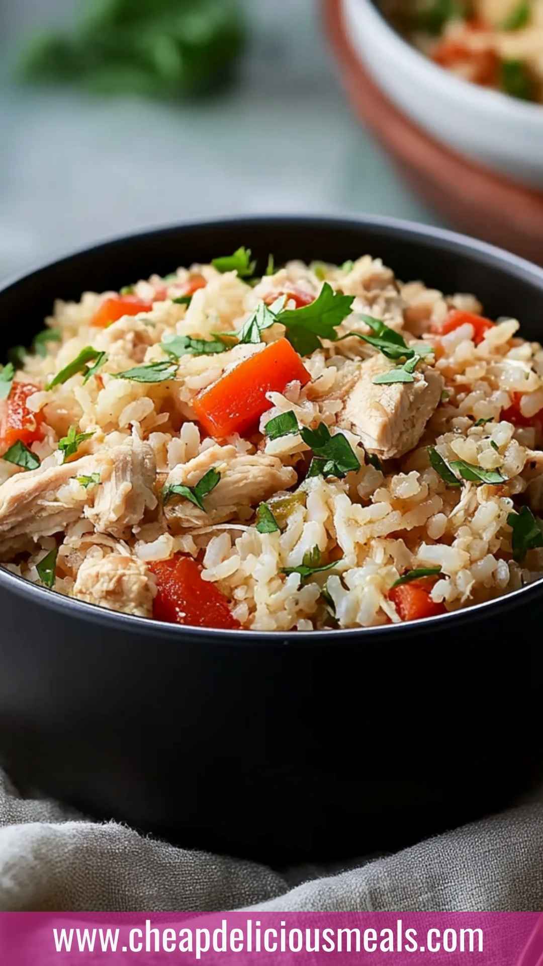 Best Slow Cooker Chicken and Rice Recipe