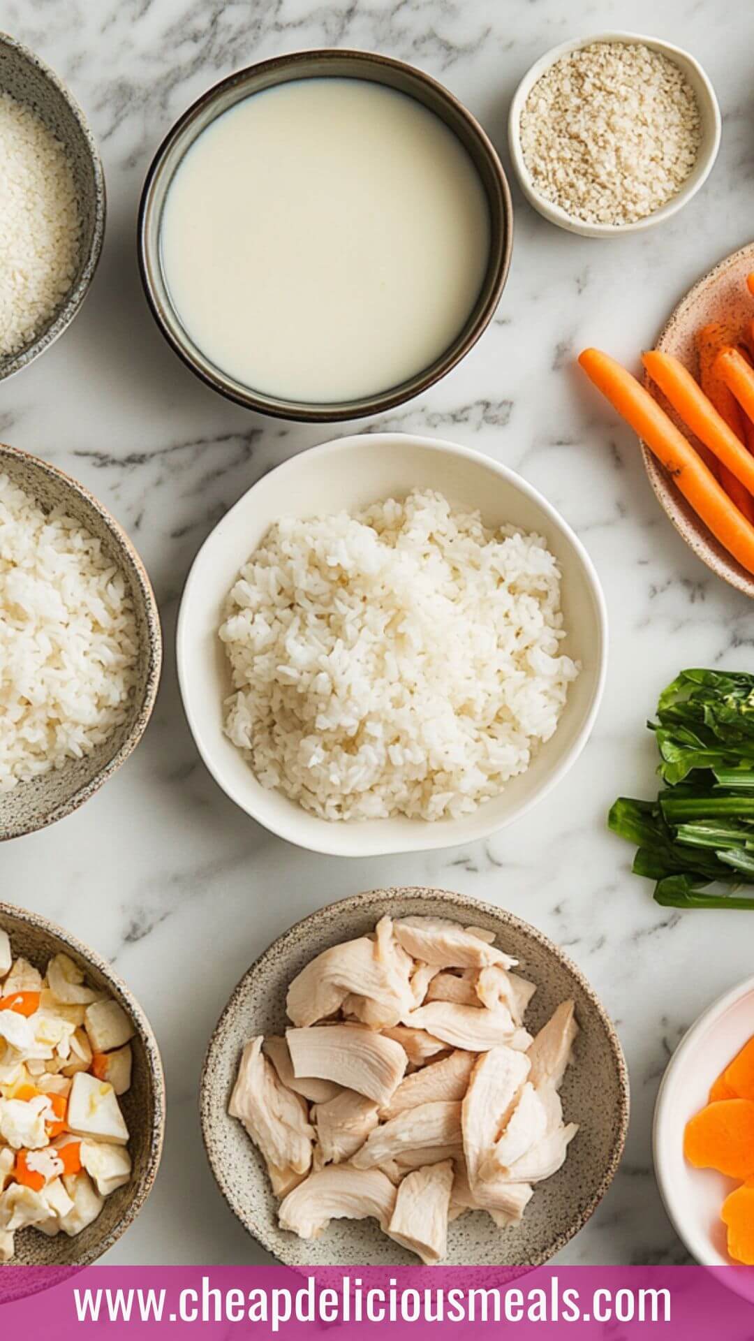 Chicken and Rice Bowl Copycat Recipe 1