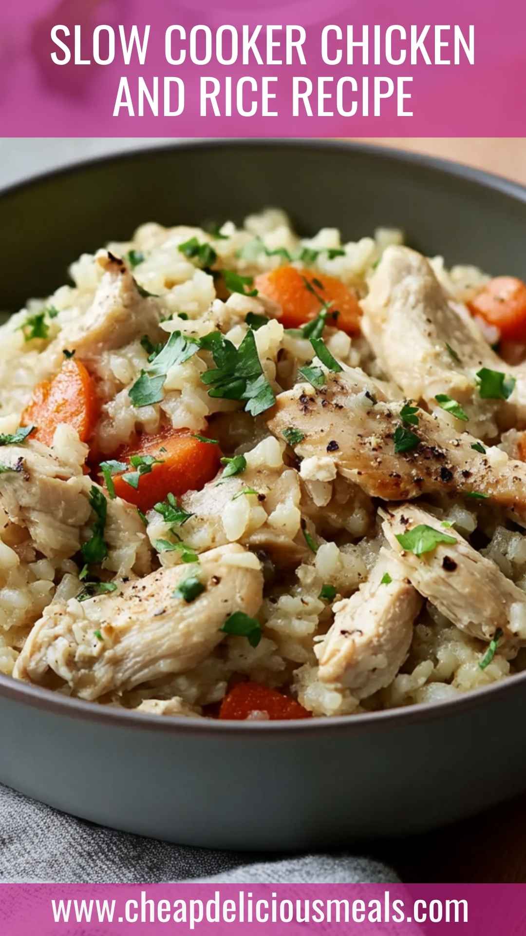 Slow Cooker Chicken and Rice Recipe