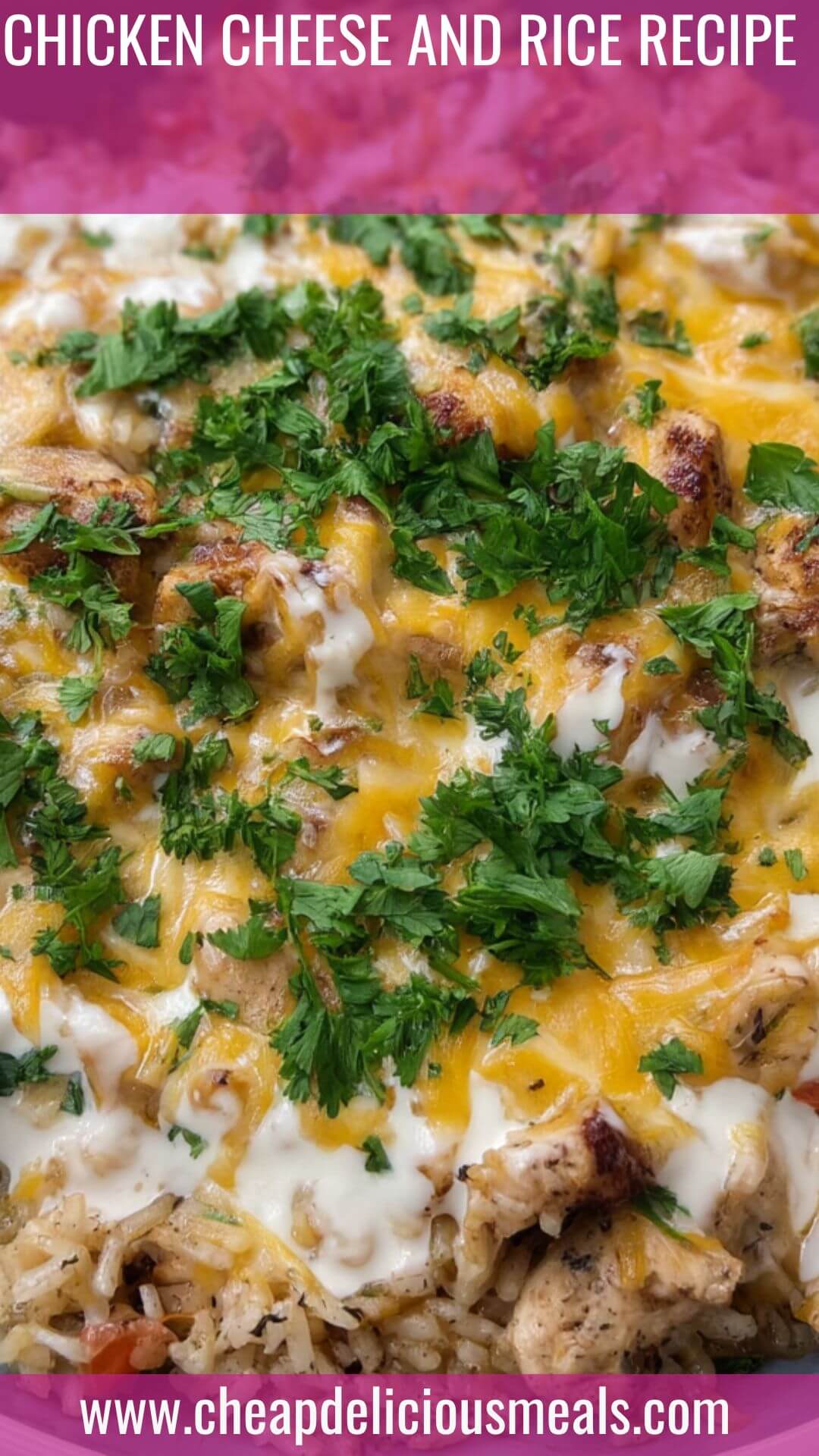 Chicken Cheese and Rice Recipe