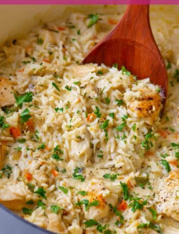 Creamy Chicken and Rice Recipe