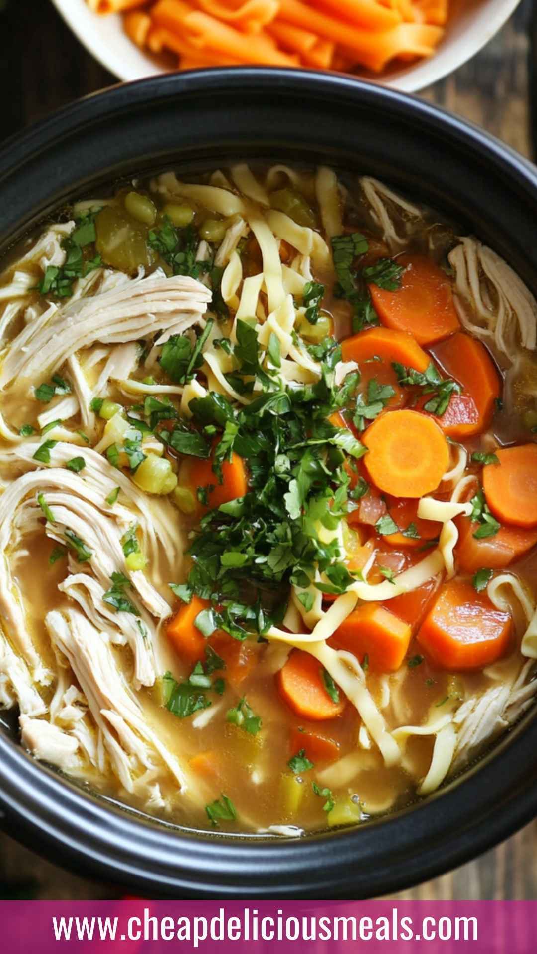 Slow Cooker Chicken Noodle Copycat Soup