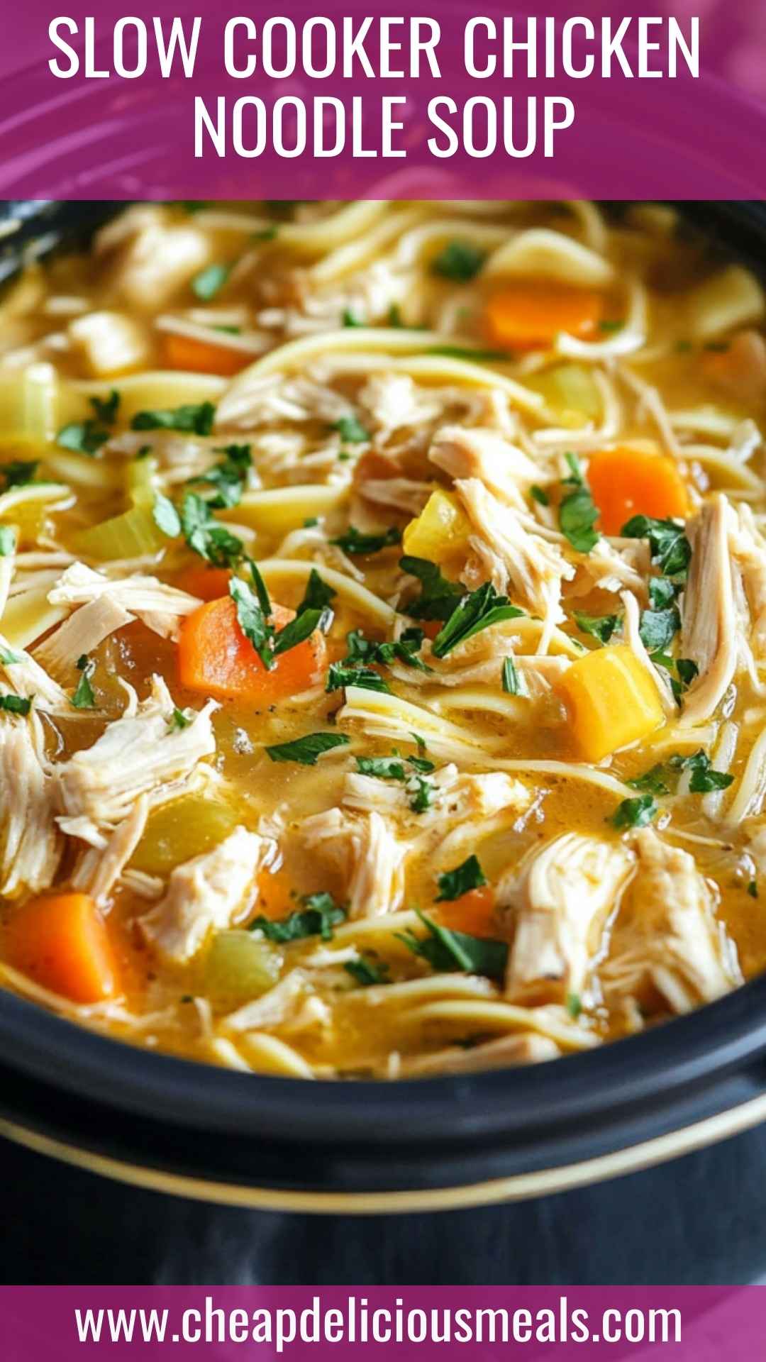 Slow Cooker Chicken Noodle Soup