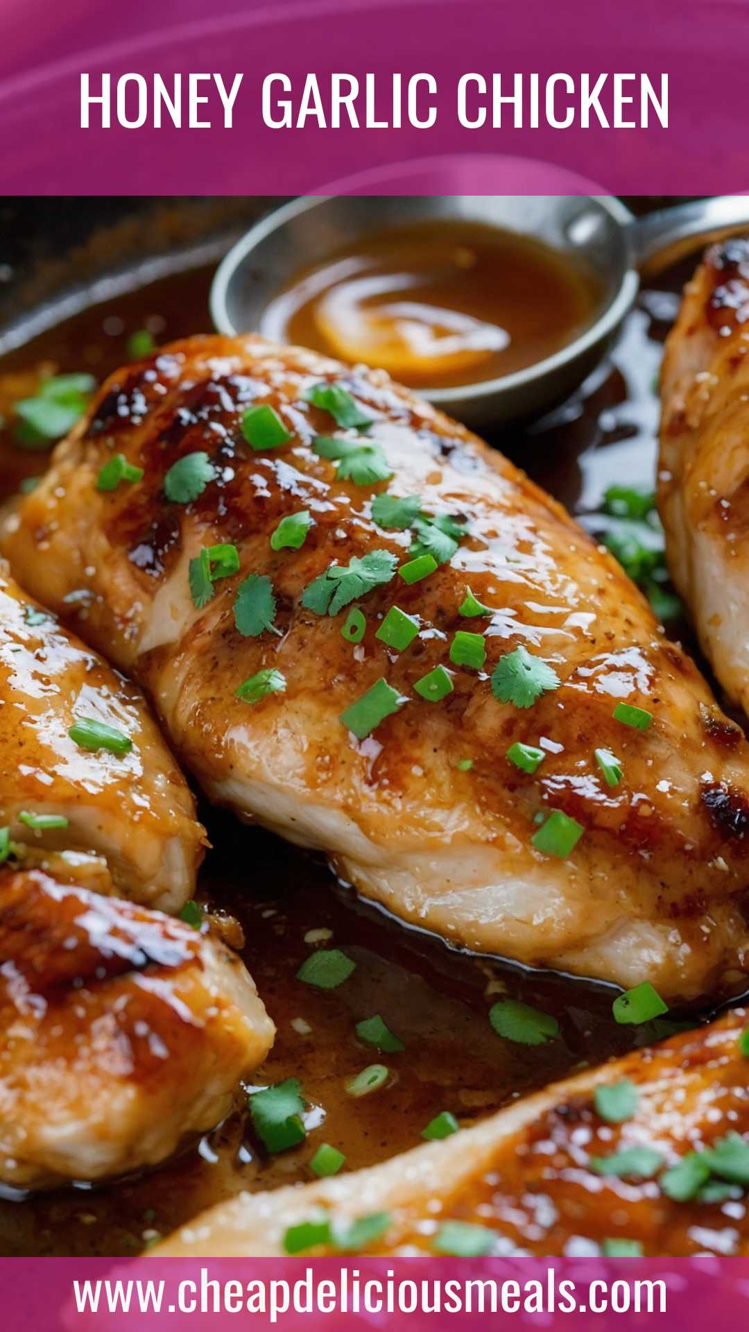 Honey Garlic Chicken