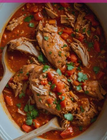 Crock Pot Salsa Chicken