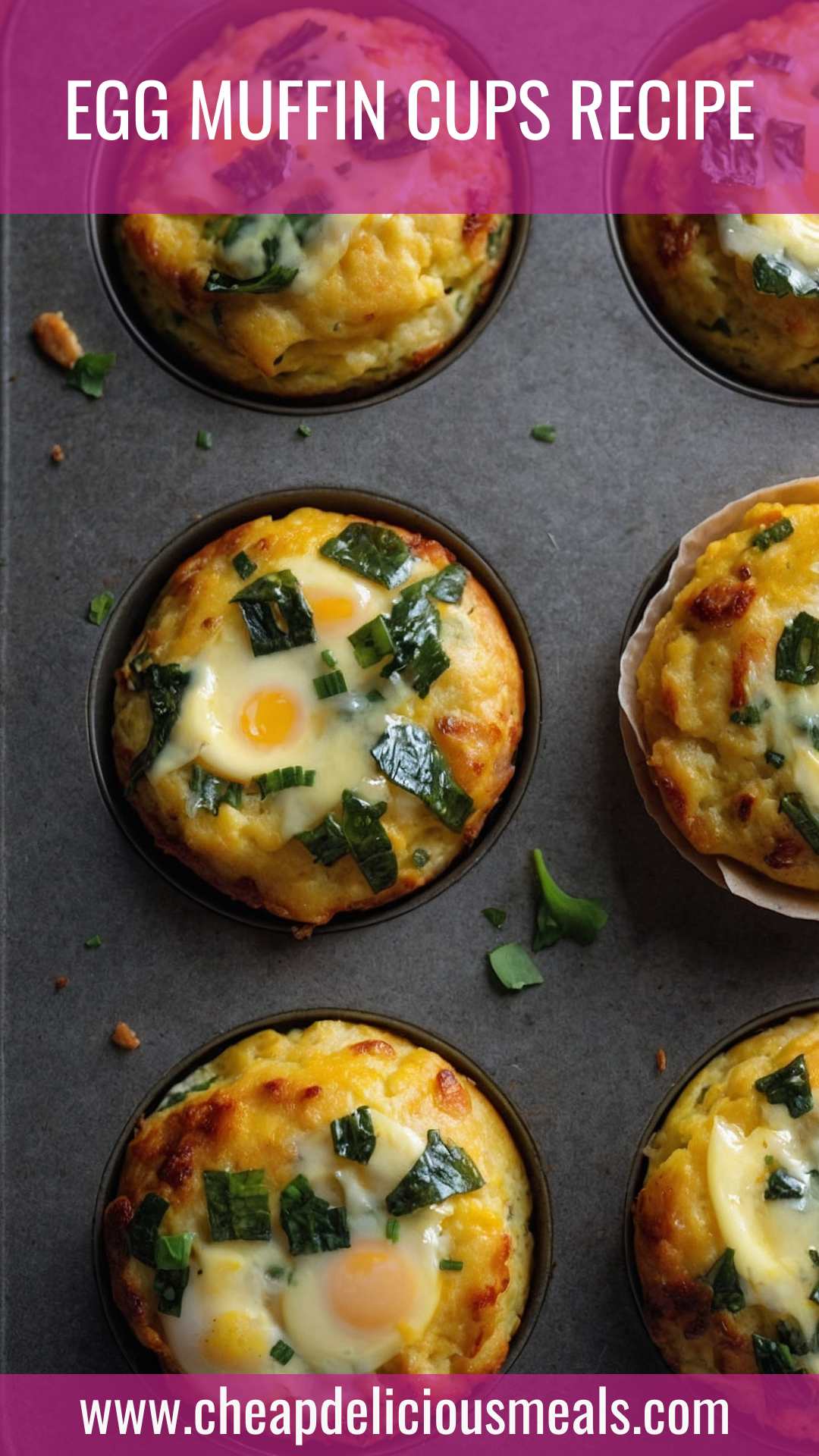 Egg Muffin Cups Recipe
